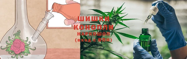 гидра Зерноград