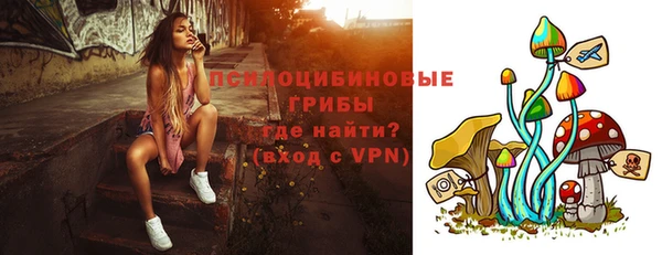 ГАЛЛЮЦИНОГЕННЫЕ ГРИБЫ Зеленодольск