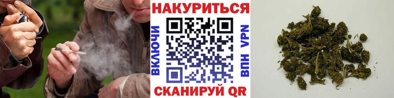 Конопля White Widow  Купить закладки  Кораблино 